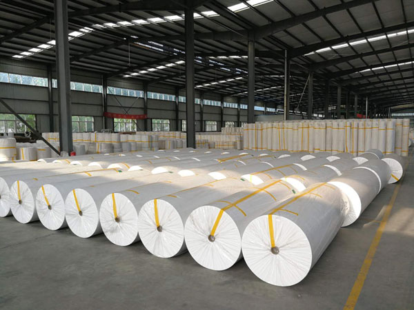 建昌狭缝式涤纶纺粘无纺布